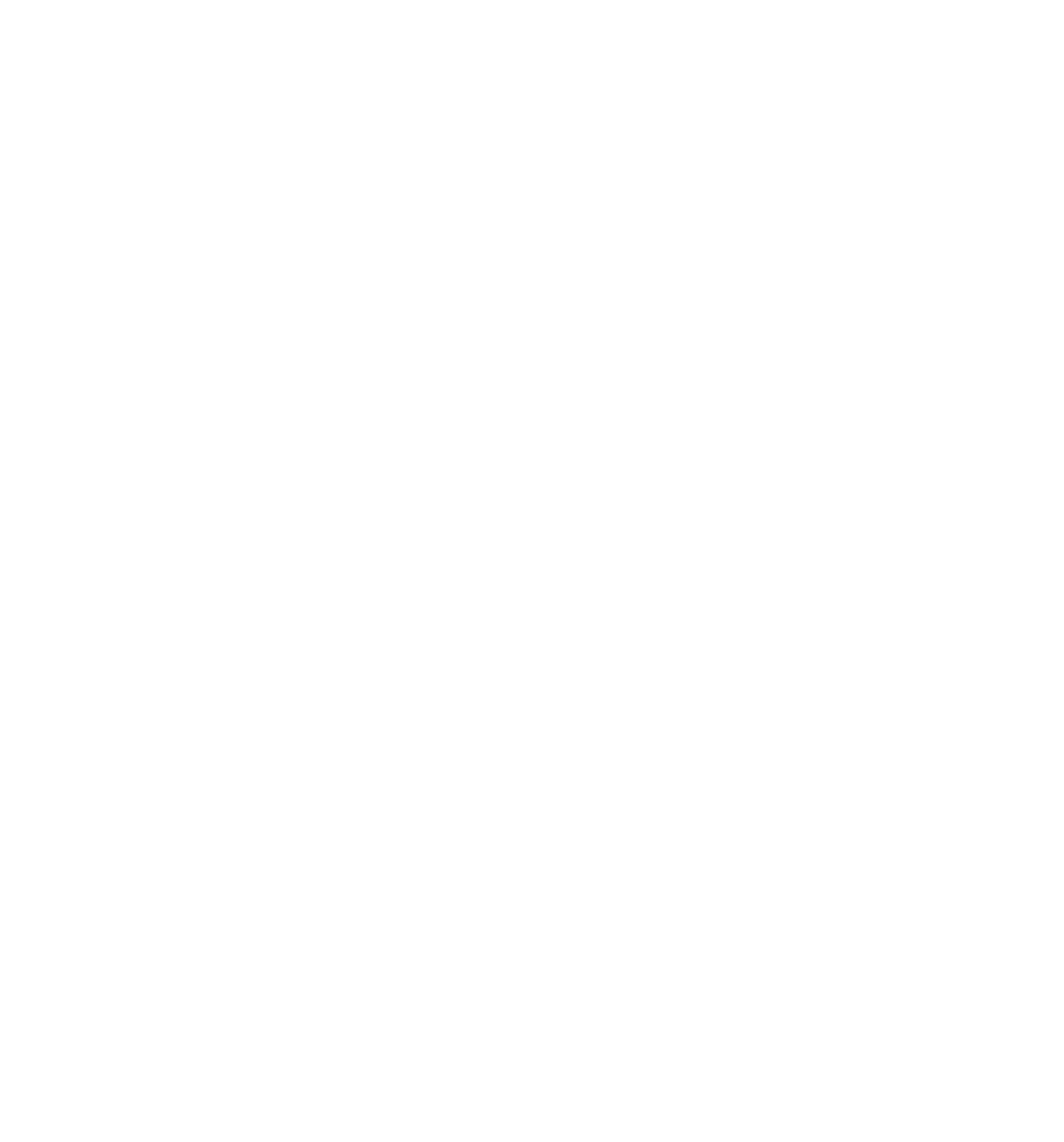 Finafinau logo